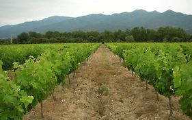 Domaine De Nidoleres